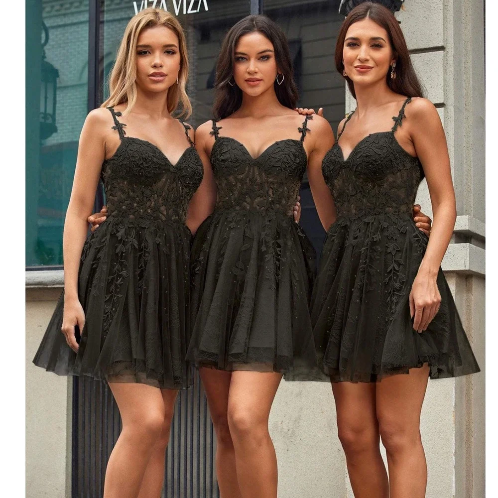 Black Lace Tulle Sheer Party Dress Homecoming Formal Mini‎ Whimsigoth Fairycore